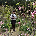杏花林26.jpg