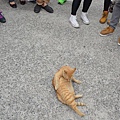 猴洞貓村16.jpg