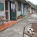 猴洞貓村36.jpg