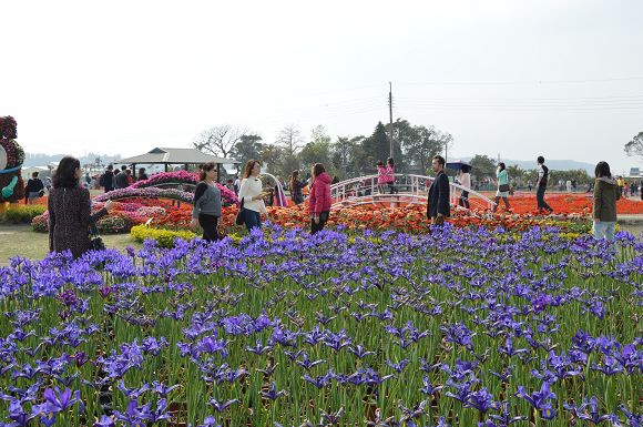 中社觀光花市24.jpg