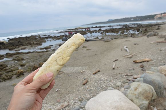 富山護魚區04.jpg