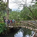 溪頭(上)17.jpg