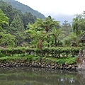 溪頭(上)21.jpg