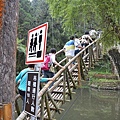 溪頭(上)22.jpg