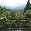 溪頭(上)23.jpg