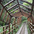 溪頭(上)41.jpg