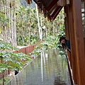烏林雨林餐廳31.jpg