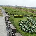 雙心池塘04.jpg
