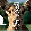 2008冬ドラマ：鹿男あをによし(鹿男與奈良)