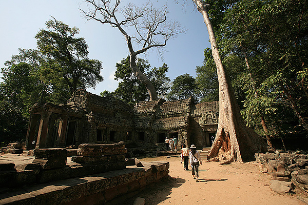 塔普輪寺Ta Prohm