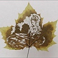 mapleleaf_03