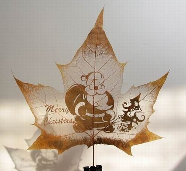 mapleleaf_05