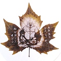 mapleleaf_08