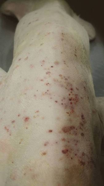 18699706_1415682455158513_3018979561205424141_o (1).jpg