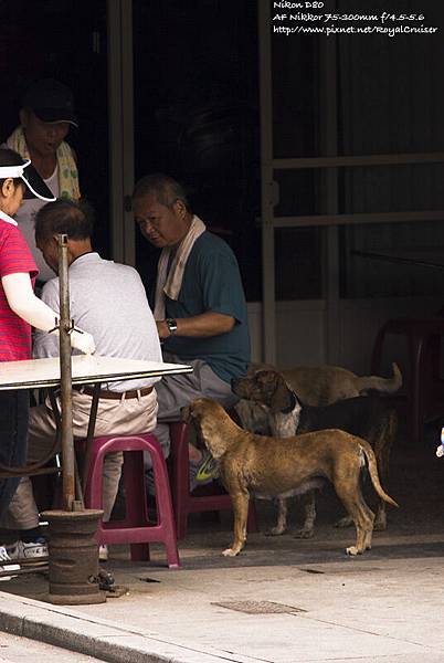 又在渴望食物了...