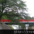 IMAG2643.jpg