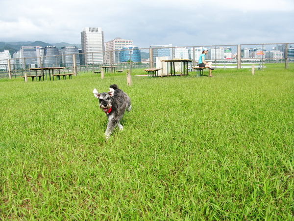 08年10月迎風 (21).JPG