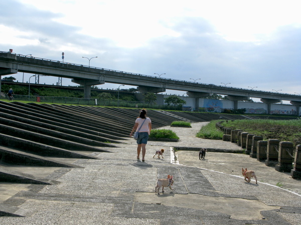 08年10月迎風 (145).JPG