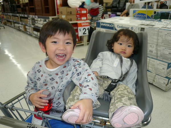 walmart shopping cart