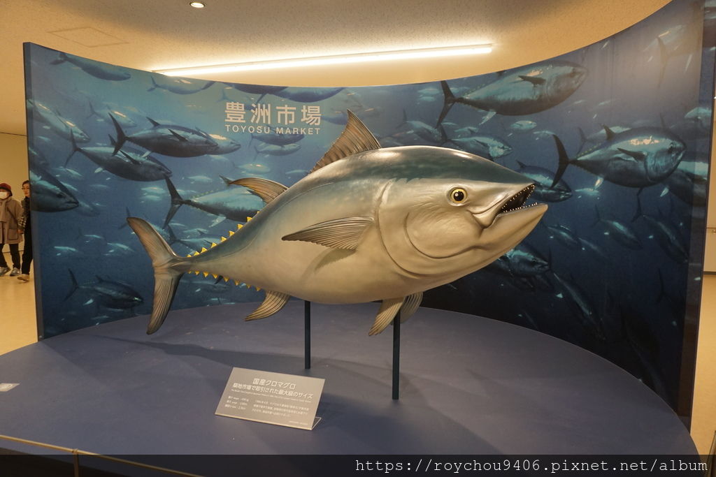 19遊記 東京 豐洲 豐洲市場 承接築地歷史再造新繁榮 Roy 人間迷走 痞客邦
