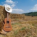 iStock-country-music-licensed-usage-paid-for-by-Kim-Strickland.jpg