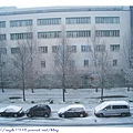 一早,慕尼黑下起了大雪..
