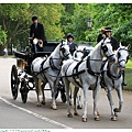 海德公園看到馬車