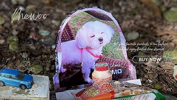 寵物的永恆歸宿—毛孩的專屬紀念墓碑設計