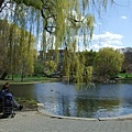 Boston Public Garden-3