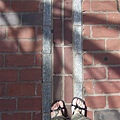 Freedom Trail-2