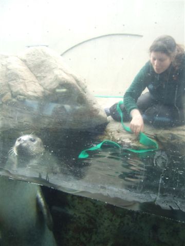 New England Aquarium