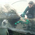 New England Aquarium