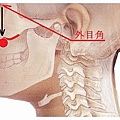 小腸經18.0……顴髎.jpg