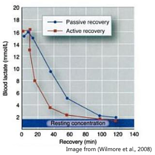 recoveryandlactate