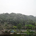 DSC02365_大小 .JPG