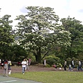 20100425515.jpg