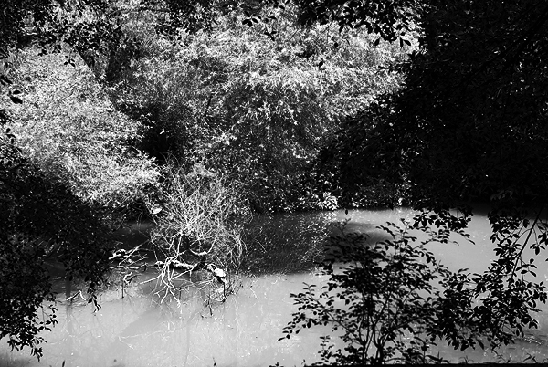 IMGP1798.jpg IMGP1798.jpg