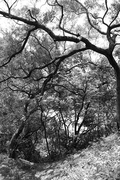 IMGP1842.jpg IMGP1842.jpg