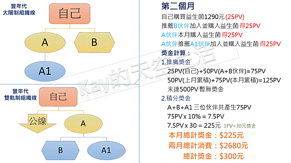 艾多美vs豐年代 獎金制度對照4.GIF