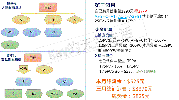 艾多美vs豐年代 獎金制度對照6.GIF