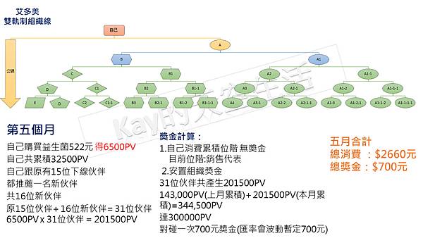 艾多美vs豐年代 獎金制度對照9.TIF