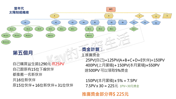 艾多美vs豐年代 獎金制度對照10.GIF