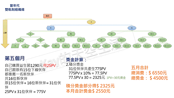 艾多美vs豐年代 獎金制度對照11.GIF