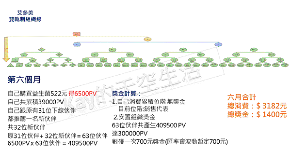 艾多美vs豐年代 獎金制度對照12.gif