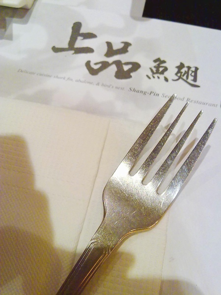 20100804293.jpg