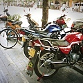 桂林的摩托車很多但很安靜環保