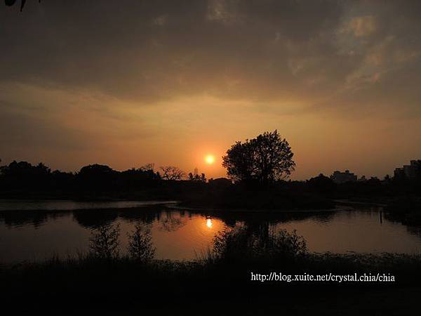 衛武營都會公園 (27)