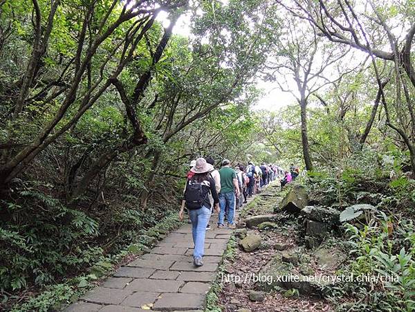 草嶺古道 (40)