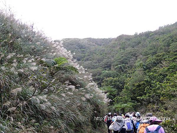 草嶺古道 (41)