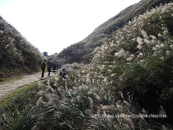 草嶺古道 (46)